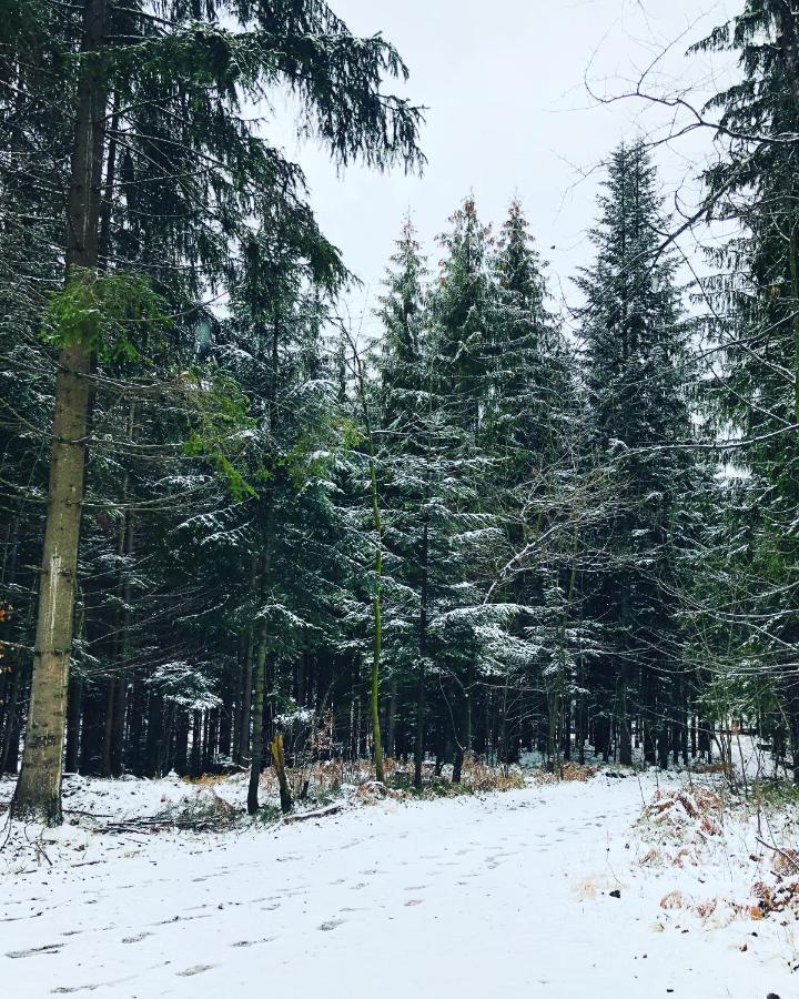 Beskid Wood Houses Jasnowice Экстерьер фото